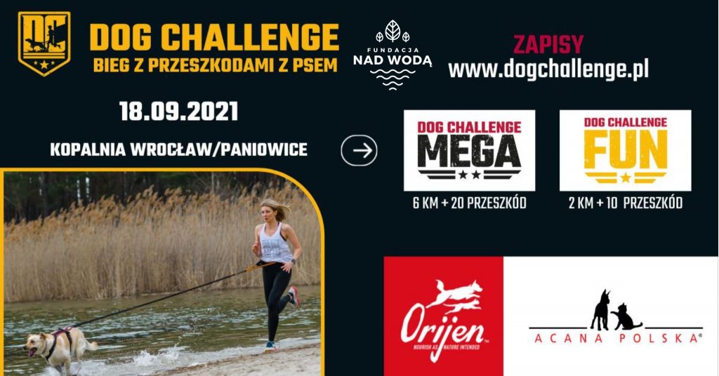 projekt bez nazwy (20)